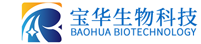 世界杯官网,世界杯(中国)一站式服务官网
